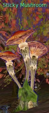 Sticky Mushroom